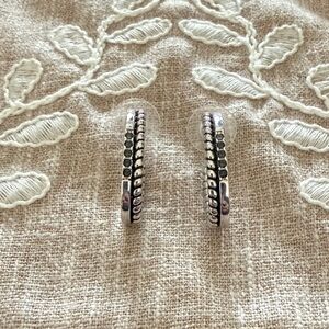 Touchstone Crystal Silver Hoop Earrings with Black Stones